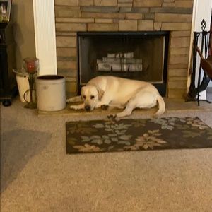 Meet your Posher, Stephen